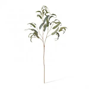 Eucalyptus Leaf Spray - 30 x 30 x 90cm by Elme Living, a Plants for sale on Style Sourcebook