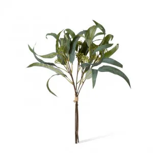 Eucalyptus Seeding Bundle - 30 x 30 x 47cm by Elme Living, a Plants for sale on Style Sourcebook