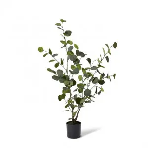 Eucalyptus Tree - 34 x 34 x 70cm by Elme Living, a Plants for sale on Style Sourcebook