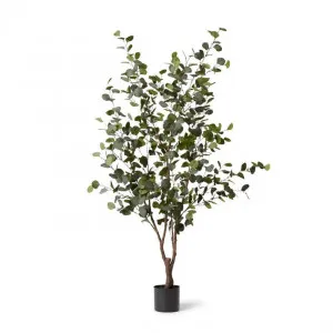 Eucalyptus Tree - 100 x 100 x 180cm by Elme Living, a Plants for sale on Style Sourcebook