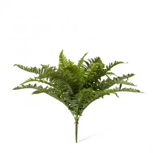 Fern Boston - 59 x 26 x 48cm by Elme Living, a Plants for sale on Style Sourcebook