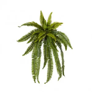 Fern Boston - 120 x 80 x 100cm by Elme Living, a Plants for sale on Style Sourcebook