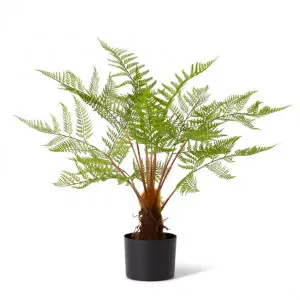 Fern Woodland Potted - 71 x 71 x 79cm by Elme Living, a Plants for sale on Style Sourcebook
