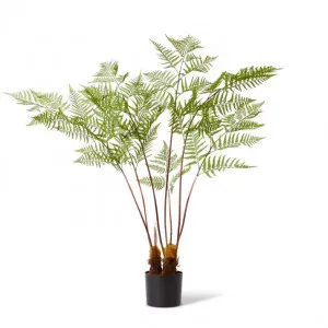 Fern Woodland Potted - 97 x 99 x 157cm by Elme Living, a Plants for sale on Style Sourcebook