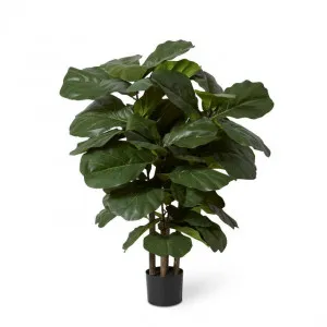 Fiddle Leaf Tree - 45 x 45 x 120cm by Elme Living, a Plants for sale on Style Sourcebook