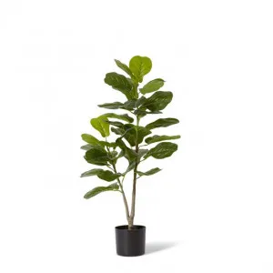 Fiddle Tree - 50 x 50 x 90cm by Elme Living, a Plants for sale on Style Sourcebook