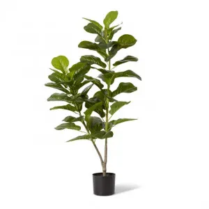 Fiddle Tree - 60 x 60 x 120cm by Elme Living, a Plants for sale on Style Sourcebook