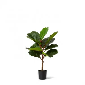 Fiddle Tree - 43 x 43 x 69cm by Elme Living, a Plants for sale on Style Sourcebook