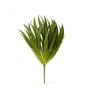 Grass Buffalo Plant - 30 x 30 x 35cm by Elme Living, a Plants for sale on Style Sourcebook