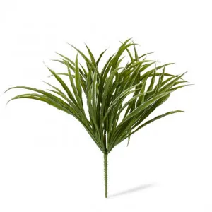 Grass Liriope Bush - 36 x 36 x 35cm by Elme Living, a Plants for sale on Style Sourcebook