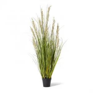 Grass Prairie Potted - 60 x 60 x 120cm by Elme Living, a Plants for sale on Style Sourcebook