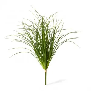 Grass Tussock Plant - 55 x 55 x 65cm by Elme Living, a Plants for sale on Style Sourcebook
