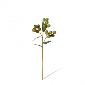 Gum Nut Spray - 20 x 10 x 48cm by Elme Living, a Plants for sale on Style Sourcebook