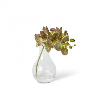 Phalaenopsis Orchid in Bottle - 15 x 8 x 25cm by Elme Living, a Plants for sale on Style Sourcebook