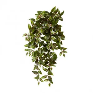 Wandering Jew Hanging Plant - 28 x 28 x 65cm by Elme Living, a Plants for sale on Style Sourcebook