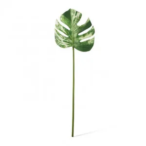 Monstera Lush Stem - 23 x 2 x 70cm by Elme Living, a Plants for sale on Style Sourcebook