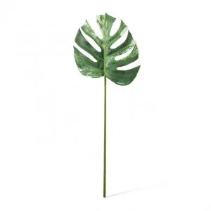 Monstera Lush Stem - 28 x 2 x 75cm by Elme Living, a Plants for sale on Style Sourcebook