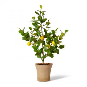 Lemon Tree - 40 x 33 x 80cm by Elme Living, a Plants for sale on Style Sourcebook