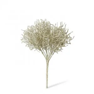 Santolina Bush - 23 x 23 x 27cm by Elme Living, a Plants for sale on Style Sourcebook