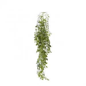 Lemon Beauty Hanging Vine - 20 x 12 x 80cm by Elme Living, a Plants for sale on Style Sourcebook