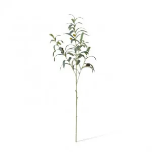 Olive Spray - 20 x 14 x 81cm by Elme Living, a Plants for sale on Style Sourcebook