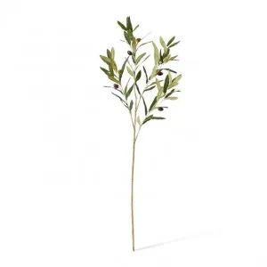Olive Spray - 28 x 28 x 97cm by Elme Living, a Plants for sale on Style Sourcebook