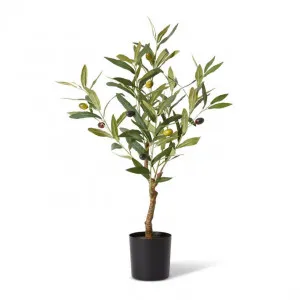 Olive Tree - 33 x 33 x 61cm by Elme Living, a Plants for sale on Style Sourcebook