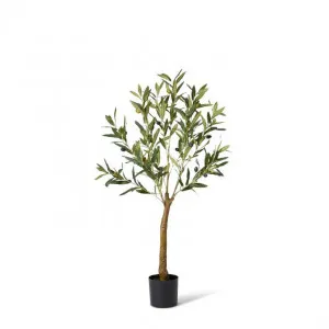 Olive Tree - 36 x 36 x 91cm by Elme Living, a Plants for sale on Style Sourcebook