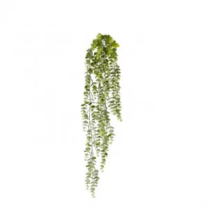 Silver Leaf Hanging Plant (Grey/Green ) - 15 x 10 x 77cm by Elme Living, a Plants for sale on Style Sourcebook