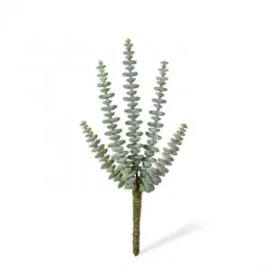 String of Buttons Sedum Stem - 15 x 15 x 25cm by Elme Living, a Plants for sale on Style Sourcebook