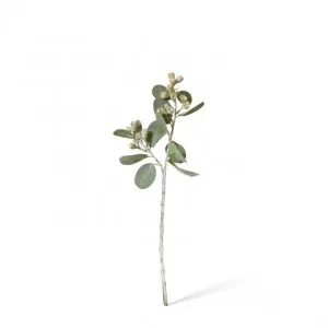 Tetragona Gum Nut Spray - 9 x 6 x 41cm by Elme Living, a Plants for sale on Style Sourcebook