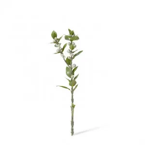 Tetragona Nut Stem - 15 x 15 x 56cm by Elme Living, a Plants for sale on Style Sourcebook