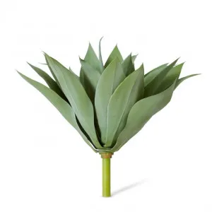 Agave - 45 x 45 x 41cm by Elme Living, a Plants for sale on Style Sourcebook