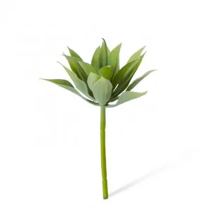 Agave Mini - 12 x 12 x 12cm by Elme Living, a Plants for sale on Style Sourcebook