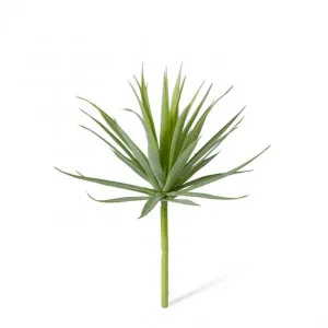 Agave Needle - 15 x 15 x 14cm by Elme Living, a Plants for sale on Style Sourcebook