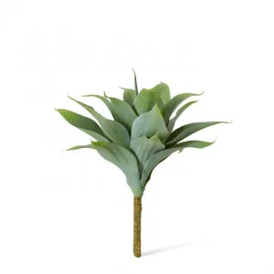 Agave Nova Plant - 34 x 34 x 38cm by Elme Living, a Plants for sale on Style Sourcebook