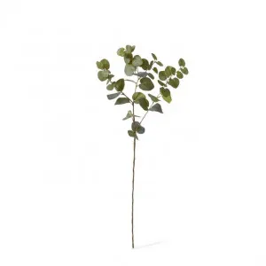 Eucalyptus Dollar Spray - 20 x 20 x 78cm by Elme Living, a Plants for sale on Style Sourcebook
