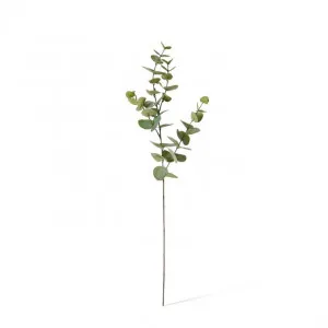 Eucalyptus Dollar Spray - 21 x 8 x 94cm by Elme Living, a Plants for sale on Style Sourcebook