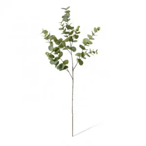Eucalyptus Dollar Spray - 26 x 11 x 117cm by Elme Living, a Plants for sale on Style Sourcebook