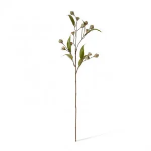 Eucalyptus Gum Nut Stem - 20 x 5 x 72cm by Elme Living, a Plants for sale on Style Sourcebook