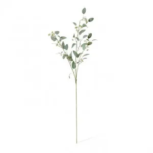 Eucalyptus Seed Spray - 15 x 10 x 75cm by Elme Living, a Plants for sale on Style Sourcebook