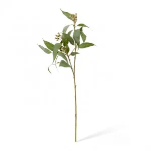Eucalyptus Seeds Spray - 26 x 5 x 89cm by Elme Living, a Plants for sale on Style Sourcebook