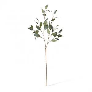 Eucalyptus Spray - 30 x 15 x 90cm by Elme Living, a Plants for sale on Style Sourcebook