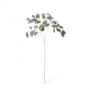 Eucalyptus Spray - 50 x 36 x 93cm by Elme Living, a Plants for sale on Style Sourcebook