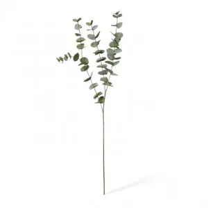 Eucalyptus Spray - 15 x 5 x 100cm by Elme Living, a Plants for sale on Style Sourcebook