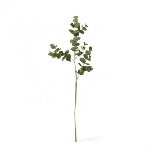 Eucalyptus Spray - 28 x 4 x 97cm by Elme Living, a Plants for sale on Style Sourcebook