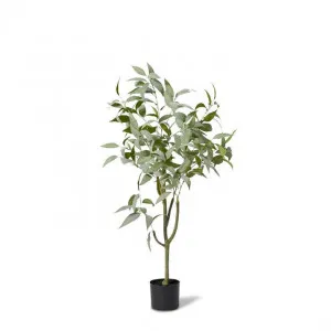 Gum Tree - 70 x 70 x 120cm by Elme Living, a Plants for sale on Style Sourcebook