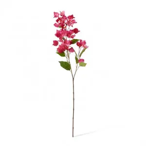 Bougainvillea Spray - 18 x 9 x 86cm by Elme Living, a Plants for sale on Style Sourcebook