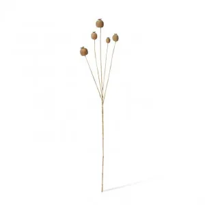 Poppy Seed Spray - 18 x 15 x 76cm by Elme Living, a Plants for sale on Style Sourcebook