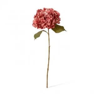 Hydrangea Decor Stem - 26 x 23 x 66cm by Elme Living, a Plants for sale on Style Sourcebook